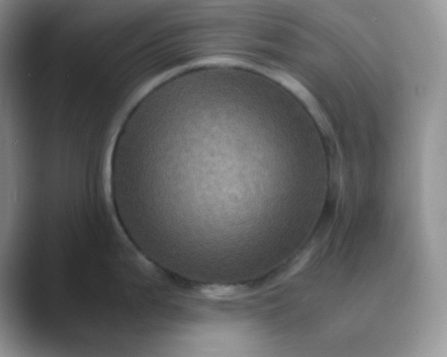 X0000089691199200707051619