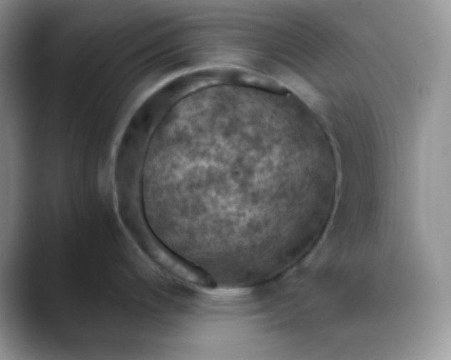 X0000089691200200707051619