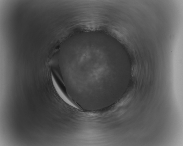 X0000089691202200707051618