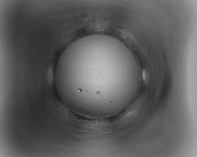 X0000089691203200707051618