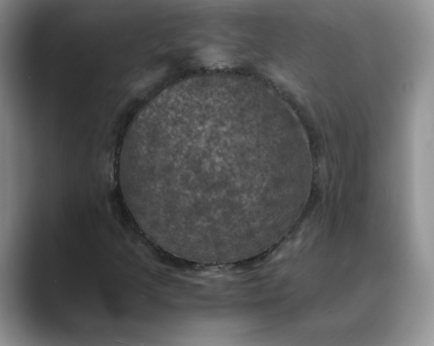 X0000089691205200707051618