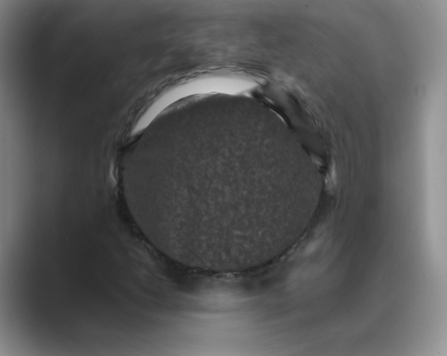 X0000089691206200707051618