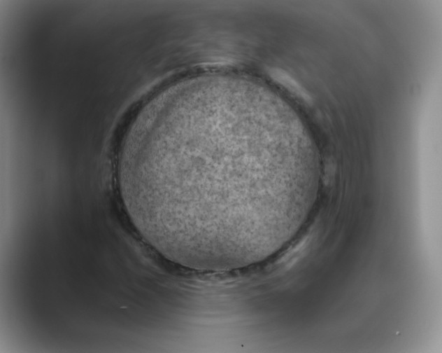 X0000089691208200707051618