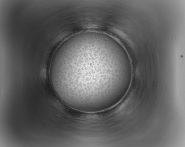 X0000089691209200707051618