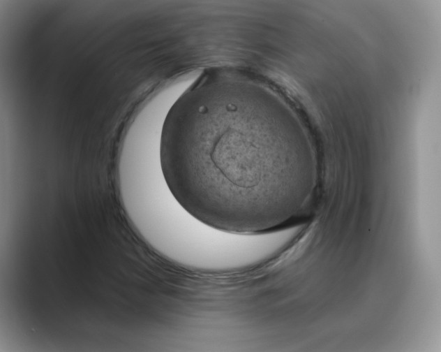 X0000089691210200707051618