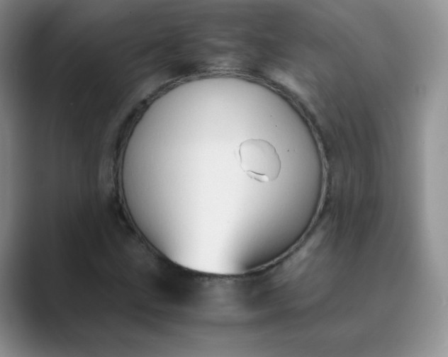 X0000089691211200707051618