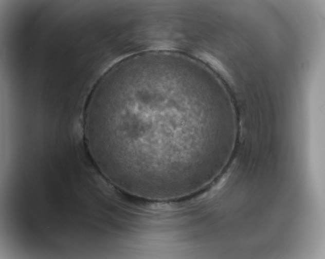 X0000089691212200707051619