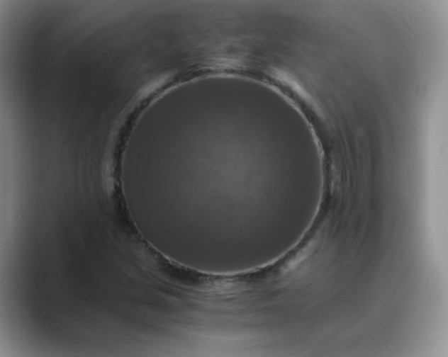 X0000089691213200707051619