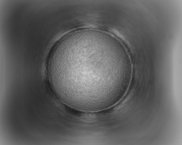X0000089691215200707051619