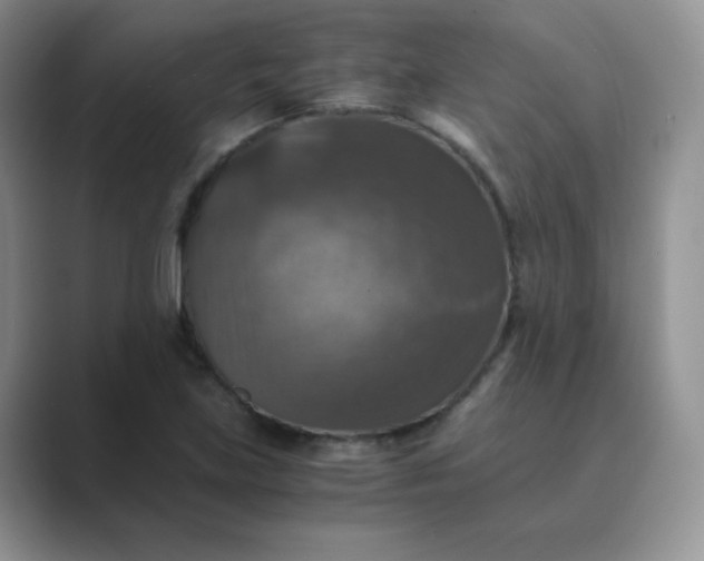 X0000089691219200707051619