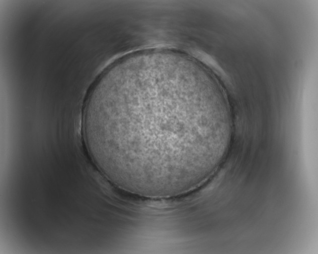 X0000089691220200707051619