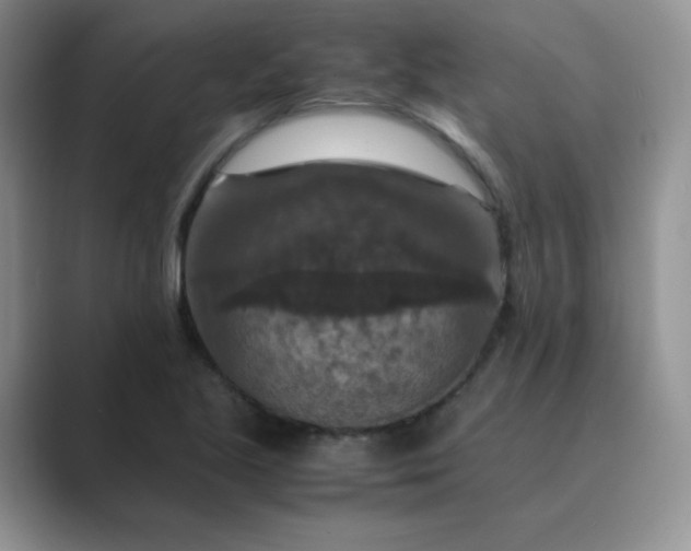 X0000089691221200707051619