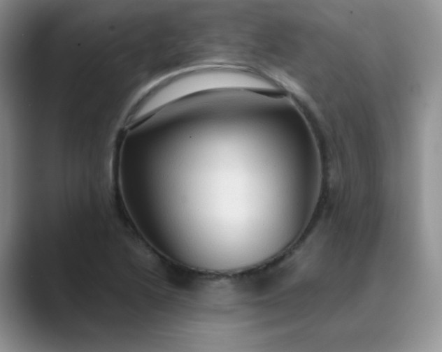 X0000089691222200707051619