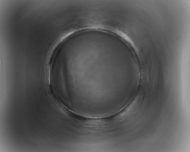 X0000089691223200707051619