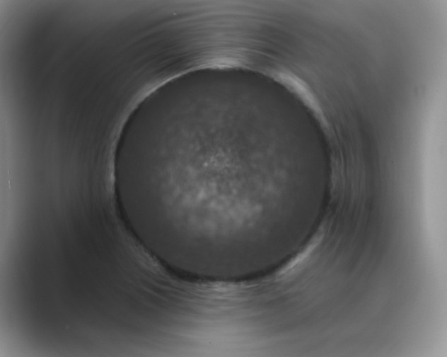 X0000089691226200707051619