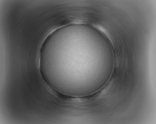 X0000089691227200707051619