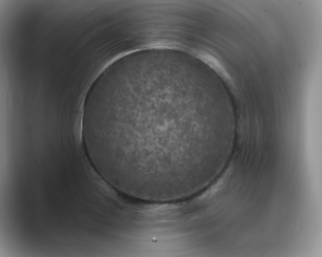 X0000089691228200707051619