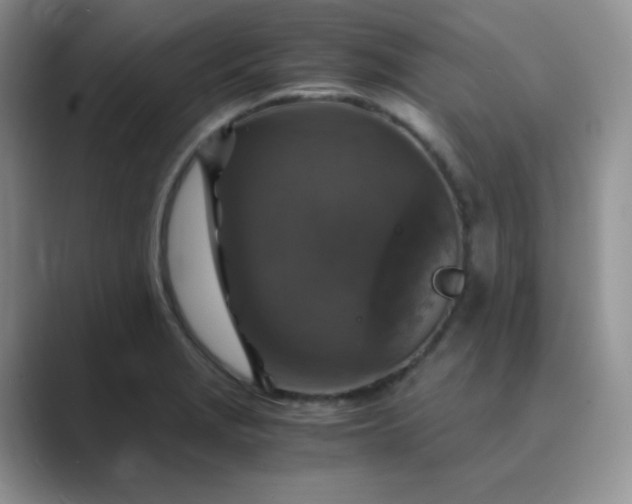 X0000089691229200707051619