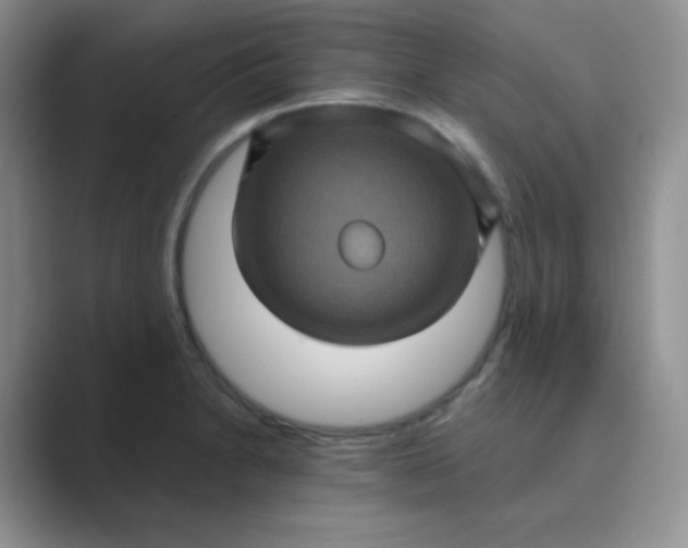 X0000089691230200707051619