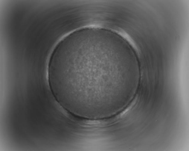 X0000089691232200707051619