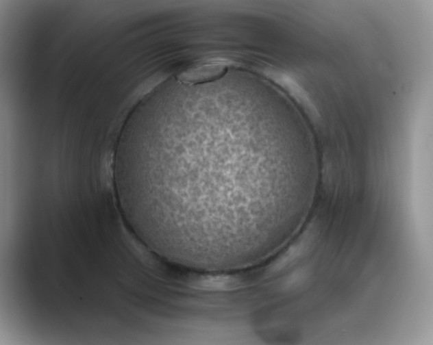 X0000089691233200707051619