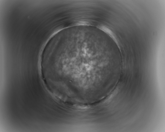 X0000089691235200707051619