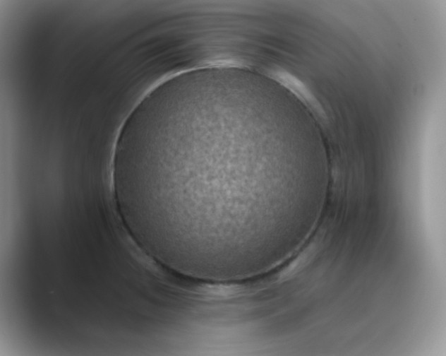 X0000089691236200707051619