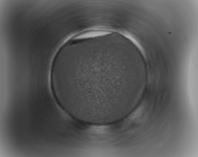 X0000089691237200707051619