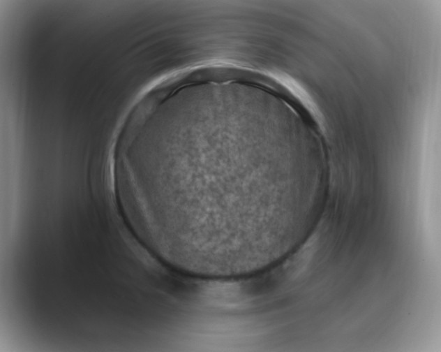 X0000089691238200707051619