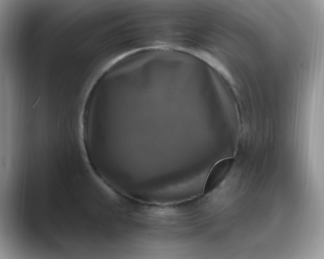 X0000089691239200707051619