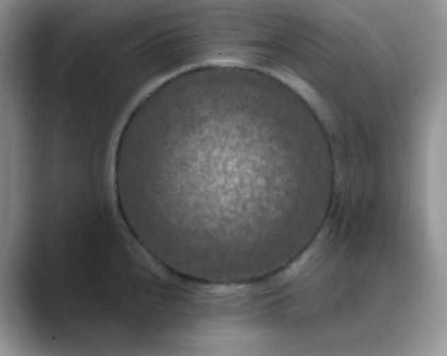 X0000089691240200707051619