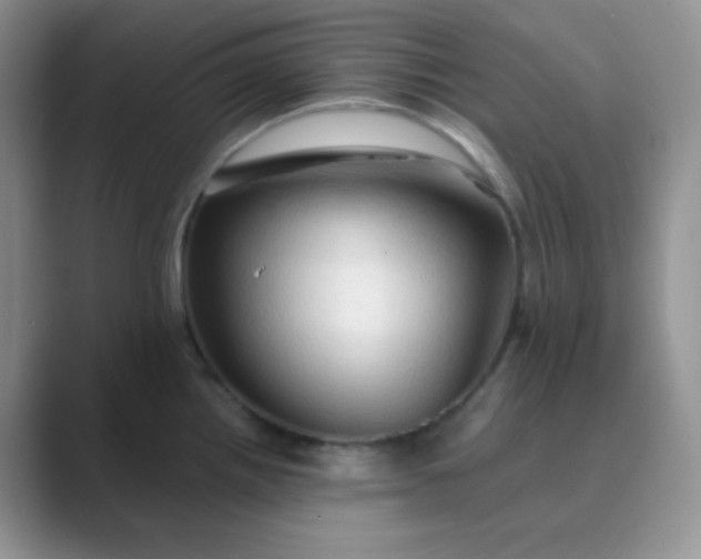 X0000089691242200707051619