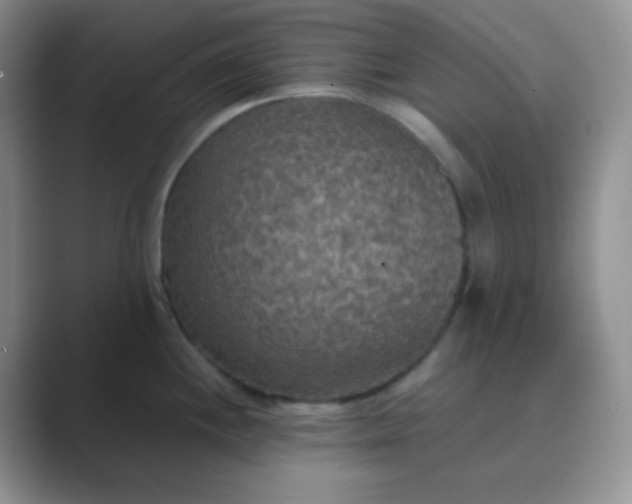 X0000089691244200707051619