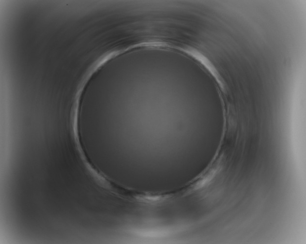 X0000089691245200707051619