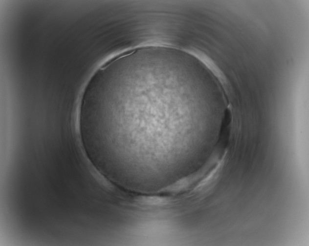 X0000089691246200707051619