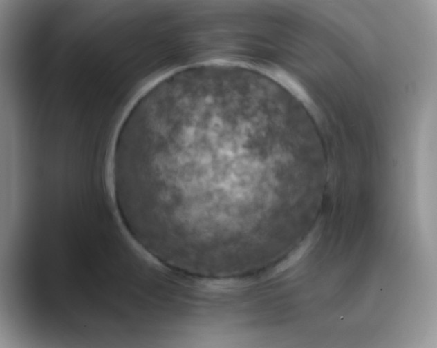 X0000089691247200707051619