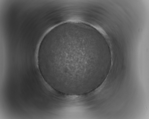 X0000089691248200707051619