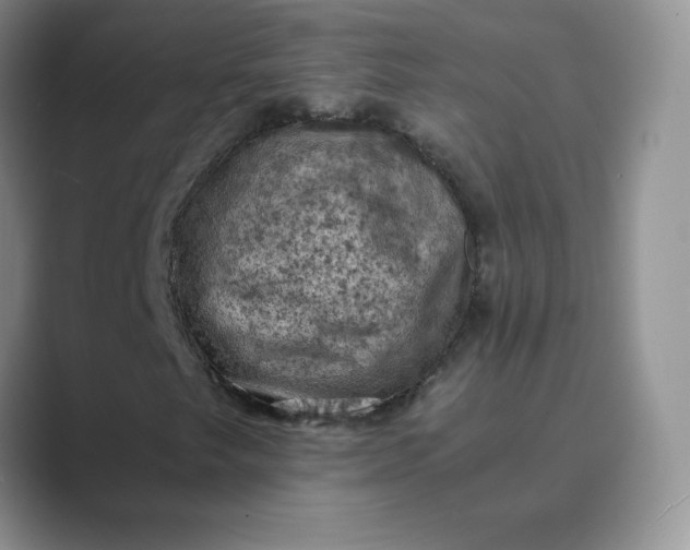 X0000089691249200707051618