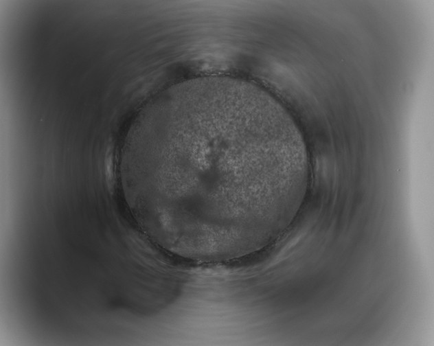 X0000089691250200707051618