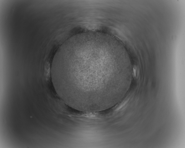 X0000089691251200707051618