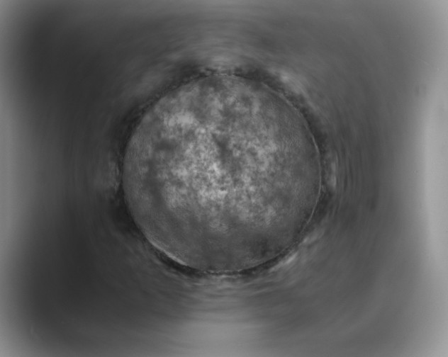 X0000089691253200707051618