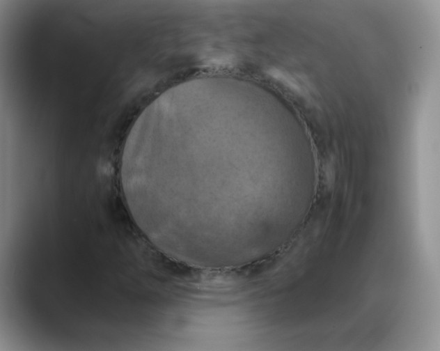 X0000089691254200707051618