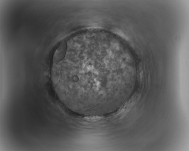 X0000089691255200707051618