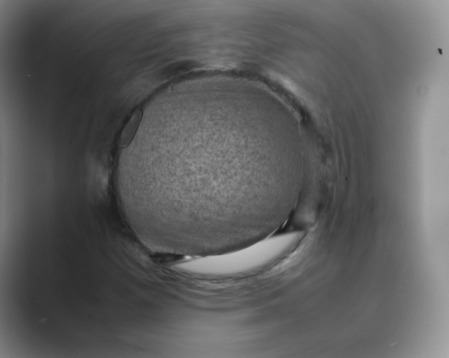 X0000089691257200707051618