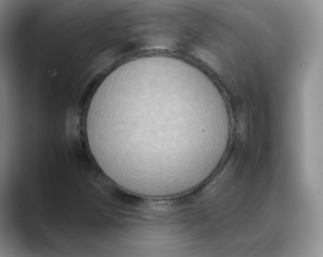 X0000089691258200707051618