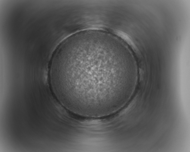 X0000089691260200707051618