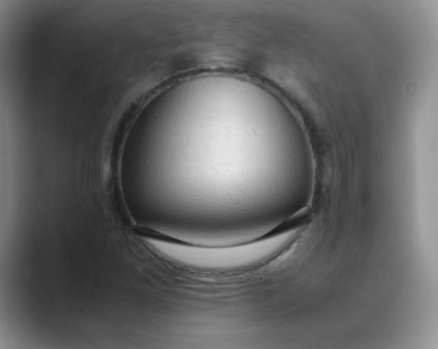 X0000089691261200707051618