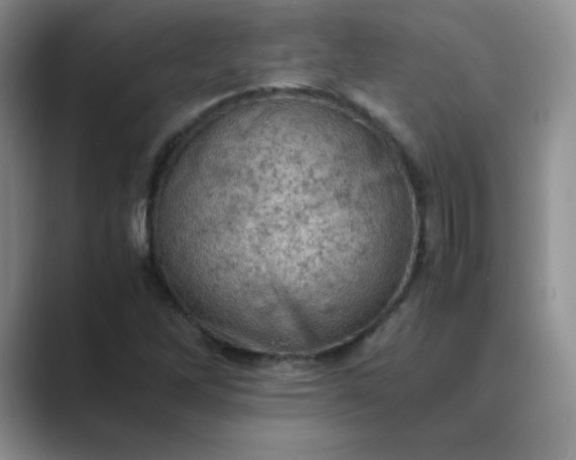 X0000089691262200707051618