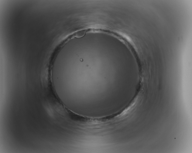 X0000089691263200707051618