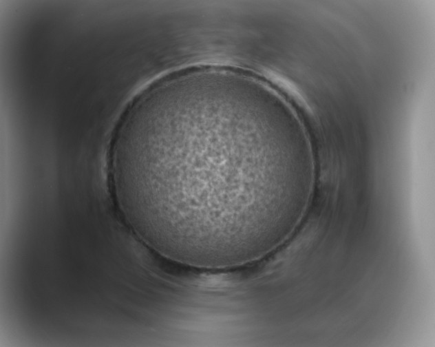 X0000089691264200707051618